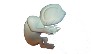 Alien-baby-fuer-filmproduktion-3d-gedruckt