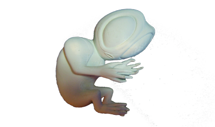 YOUin3D erstellt das Design eines Alien-Babys