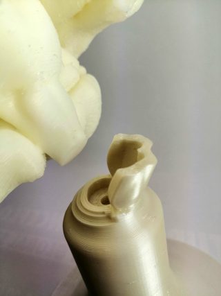 3D-Druck-Projekt Charité Gehirn